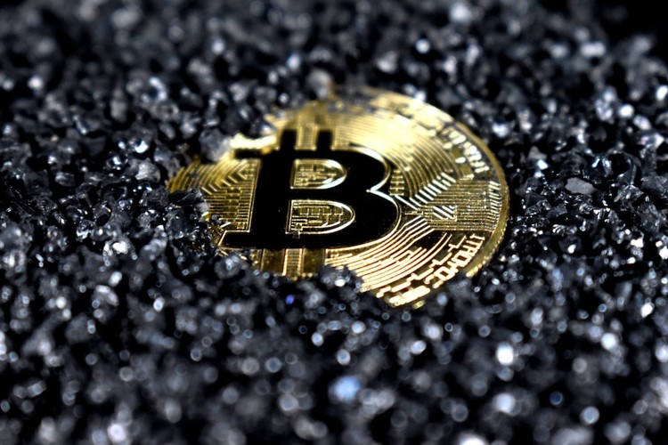 Bitcoin Sparks Crypto Market Revival in 2023